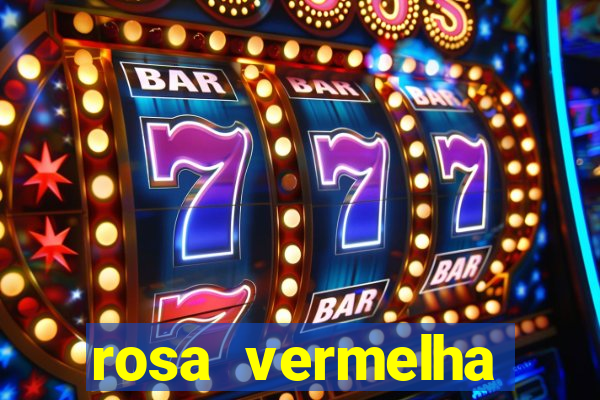 rosa vermelha (letra e cifra)